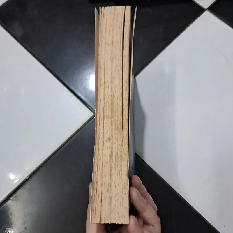 Từ hầm lò Mông Dương đến nóc nhà thế giới Tây Tạng 1003503