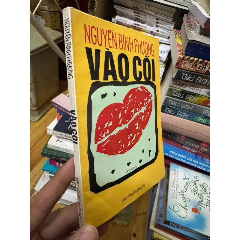 Vào cõi - Nguyễn Bình Phương 1025944