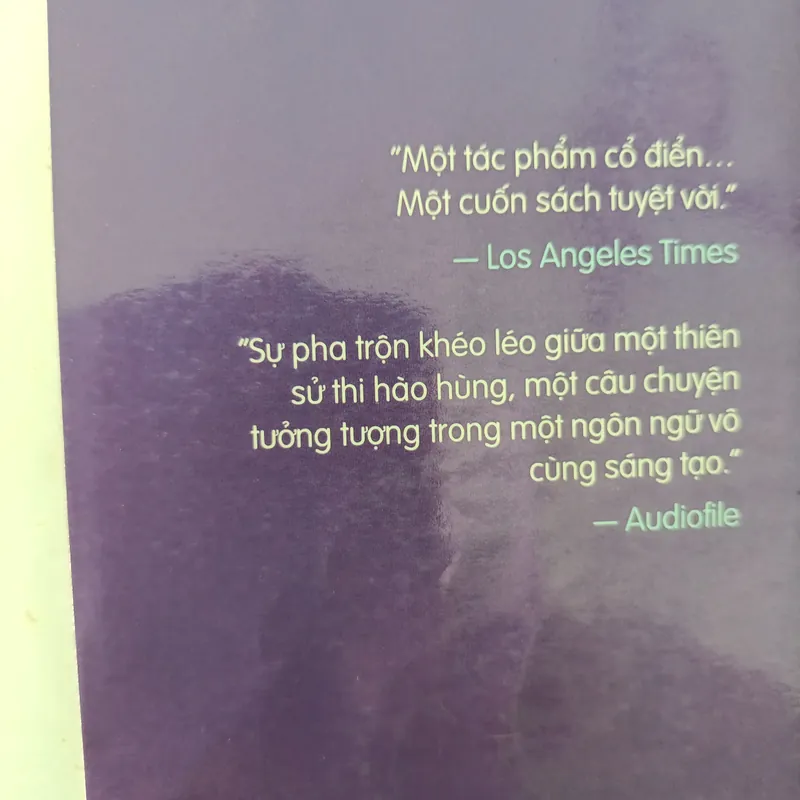 Đồi thỏ    589112