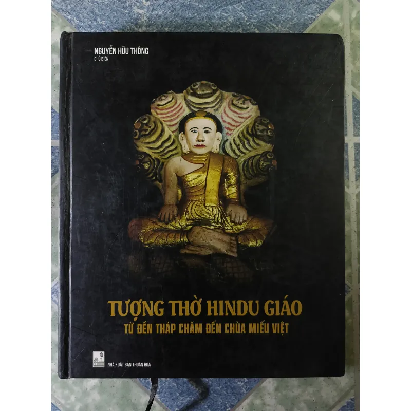 Tượng thờ Hindu giáo từ đền tháp chăm đến chùa miếu Việt - Nguyễn Hữu Thông 748830