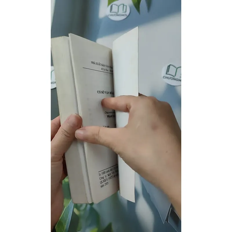 Cơ Sở Văn Hóa Việt Nam - Trần Diễm Thúy 928535