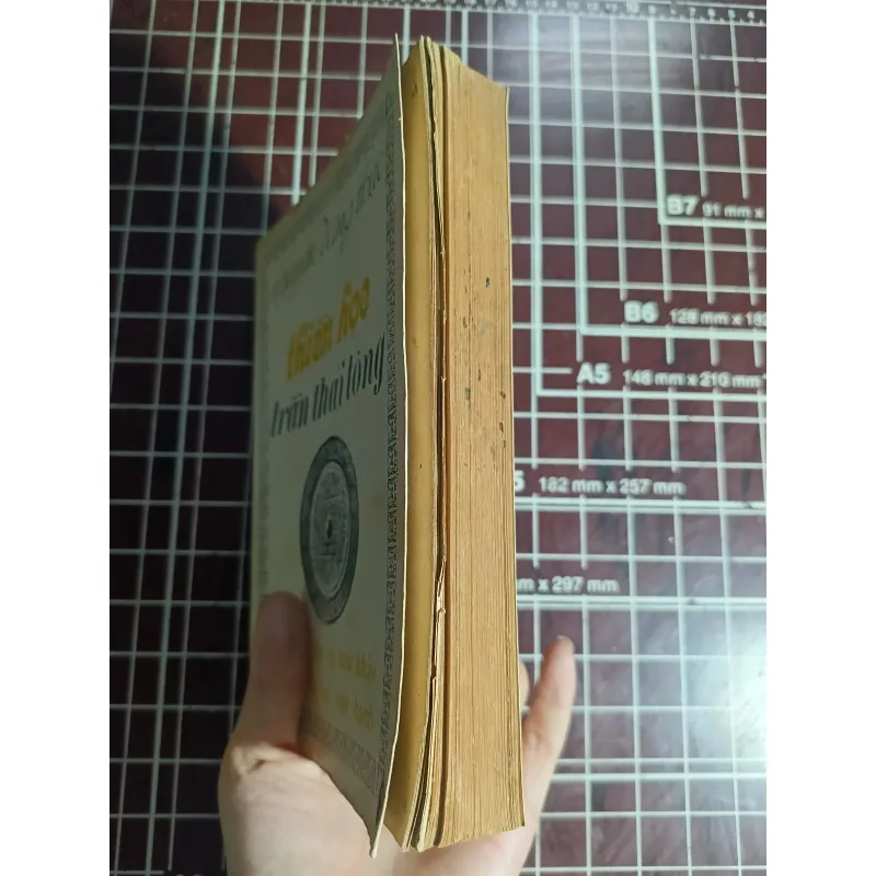 Thiền học Trần Thái Tông - Nguyễn Đăng Thục 754707