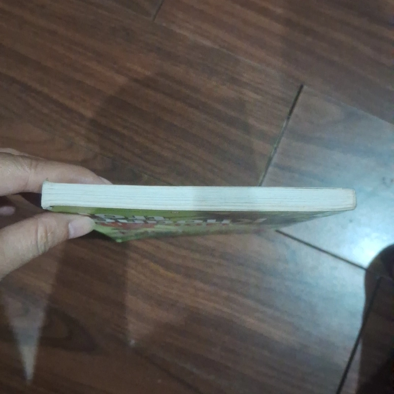Góc sân và khoảng trời - trần đăng khoa 523245