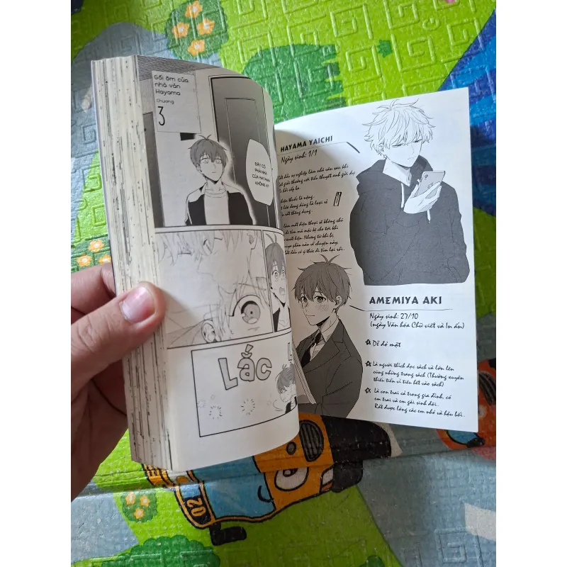 Gối Ôm Của Nhà Văn Hayama 1022883