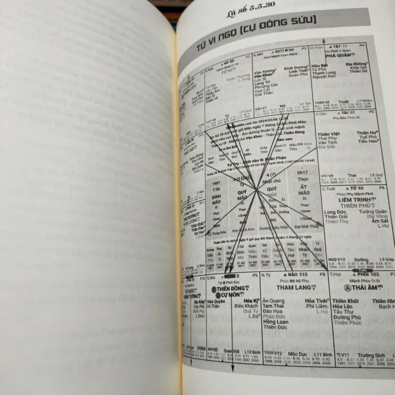 Tử Vi Dễ Hiểu - Thực Hành Tổng Hợp 1 1021155