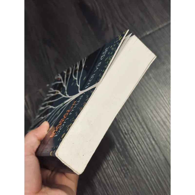 Bốn mùa trời và đất 605448