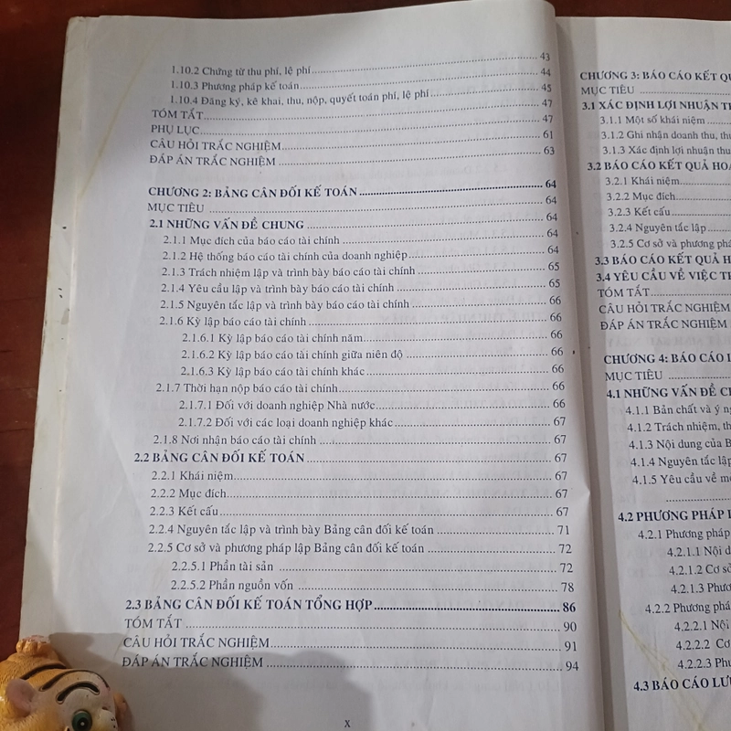 Giáo trình Kế toán Tài chính (Phần 5) - PGS. TS Bùi Văn Dương 492642