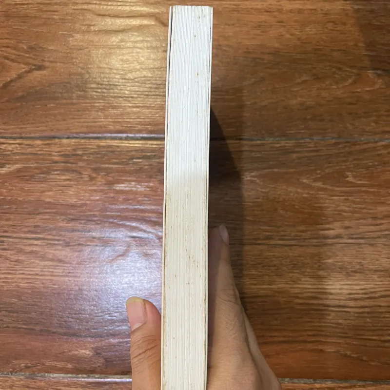 Nước Đại Nam đối diện với Pháp và Trung Hoa 1847-1885 (8) 1005358