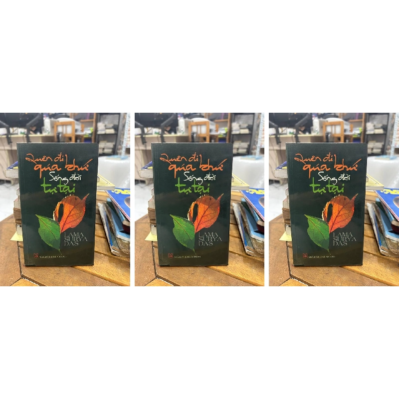 Các Tác Phẩm Của Lama Surya Das 990808