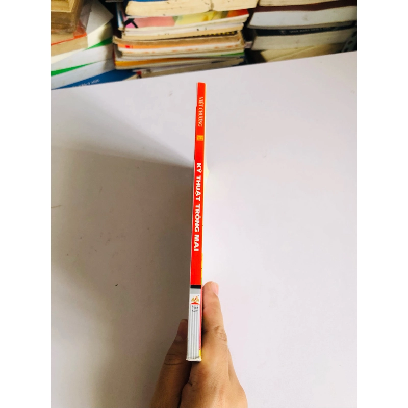 KỸ THUẬT TRỒNG MAI 530538
