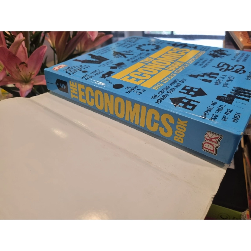 THE ECONOMICS BOOK: BIG IDEAS SIMPLY EXPLAINED (DK BIG IDEAS) 120590