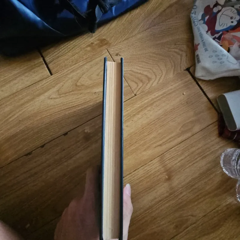 A series of unfortunate events The reptile room book 2 Giá 20k  602616