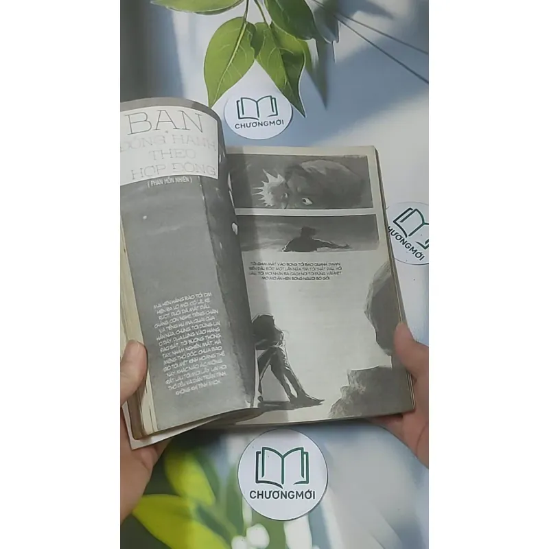 Truyện đôi Valentine 688582