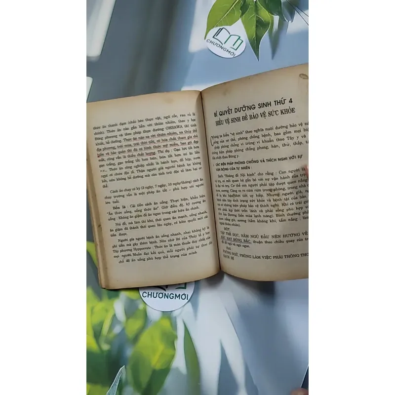 [XƯA] 6 Bí Quyết Dưỡng Sinh Người Có Tuổi (1994) 776147