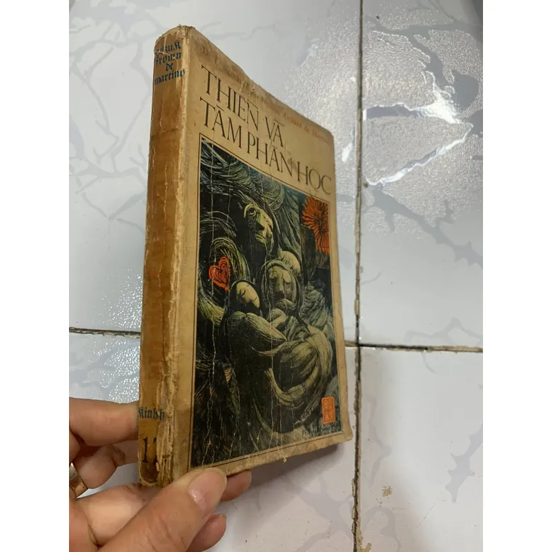 Thuyền và tâm phân học 719872