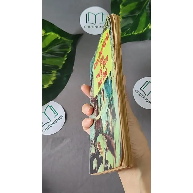 Cuộc Du Hành Vào Trung Tâm Trái Đất (1996) - Jules Verne 604595