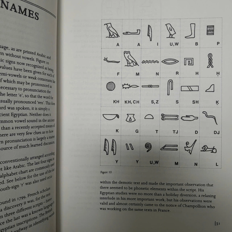 UNDERSTANDING HIEROGLYPHS -HILARY WILSON 493236