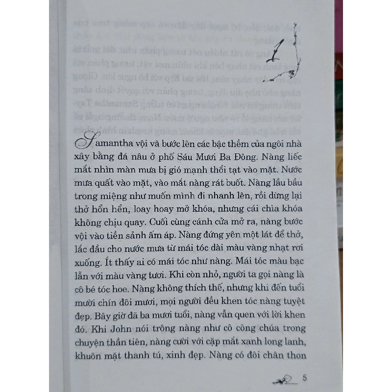 Hơn cả ước mơ - Danielle Steel (Văn Hòa, Kim Thùy dịch) 1019447