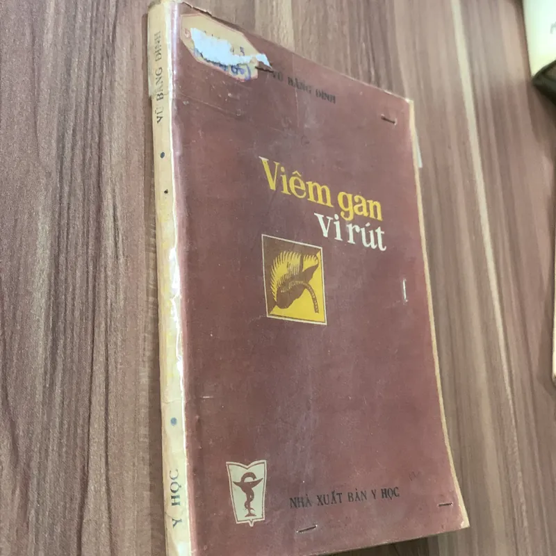 Viêm gan vi rút, Vũ Bằng Đình  622275