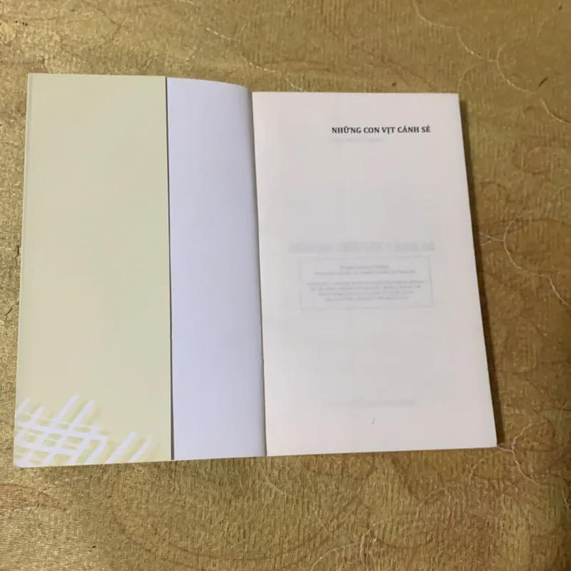 NHỮNG CON VỊT CÁNH SẺ - TRẦN HỒNG GIANG 751721
