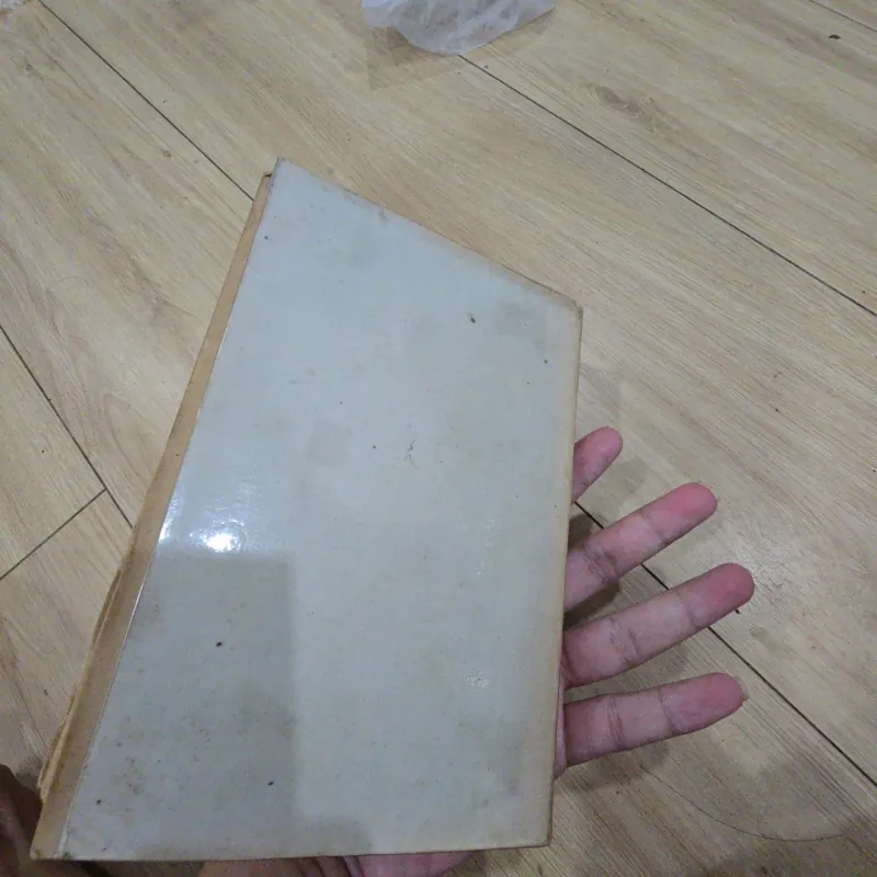 Trung quốc và việc giải quyết chiến tranh đông dương lần thứ I 1031504