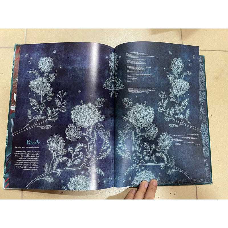 Nàng lọ lem (c) 530534