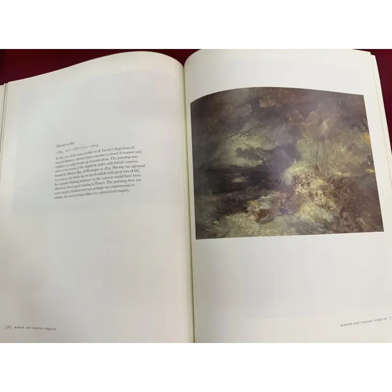 Sách ngoại văn tiếng Anh - Turner in the Clore Gallery 928704