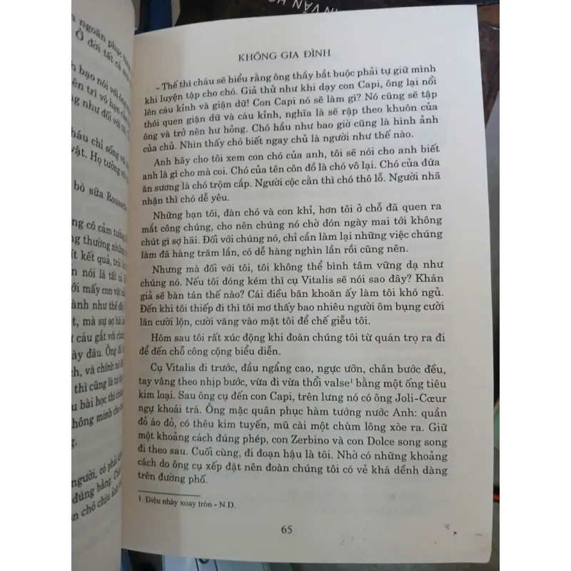KHÔNG GIA ĐÌNH - HECTOR MALOT (HUỲNH LÝ DỊCH) 1038399