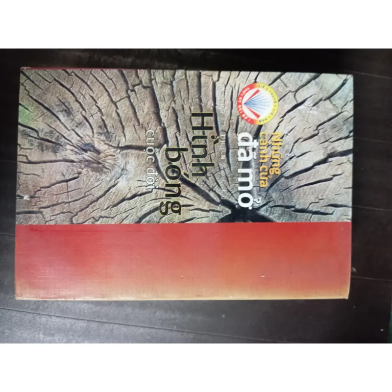 Những cánh cửa đã mở + Hình bóng cuộc đời 994931