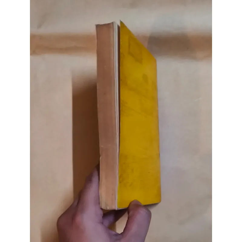 THĂNG LONG - HÀ NỘI THẾ KỶ XVII - XVIII - XIX - Nguyễn Thừa Hỷ 993833