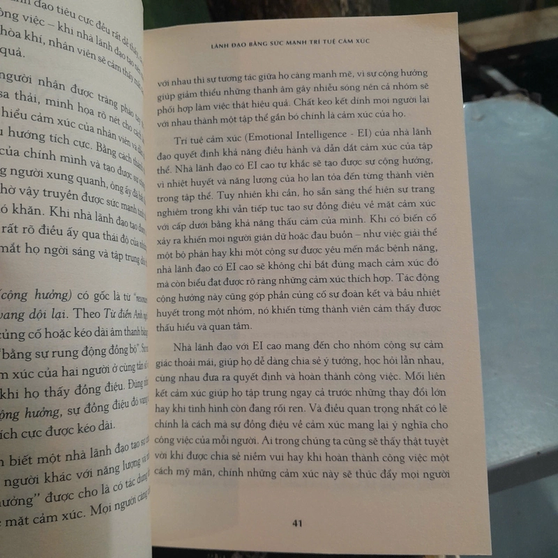 LÃNH ĐẠO BẰNG SỨC MẠNH TRÍ TUỆ CẢM XÚC - DANIEL GOLEMAN, RICHARD BOYATZIS, ANNIE MCKEE 446439