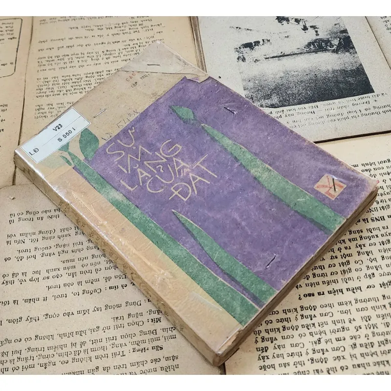 Truyện ngắn của Cao Linh Quân: Sự im lặng của đất 707719