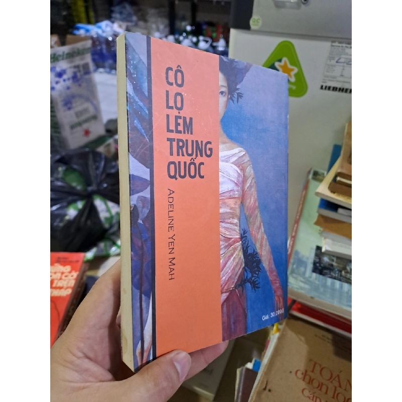 Cô lọ lem trung quốc mới 80% ố nhẹ 2006 HCM0308 Văn học nước ngoài 923828
