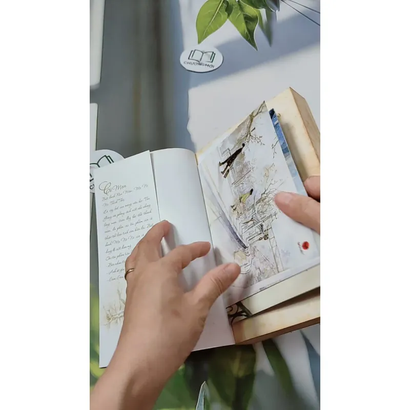 Tôi Như Ánh Dương Rạng Rỡ - Cố Mạn 744697