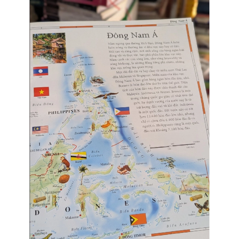 Atlas cho trẻ em - Kingfisher 296262