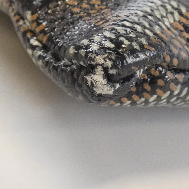 Túi Goyard Sena MM ABU SENAT MM - Hàng hiệu Chính hãng 805446