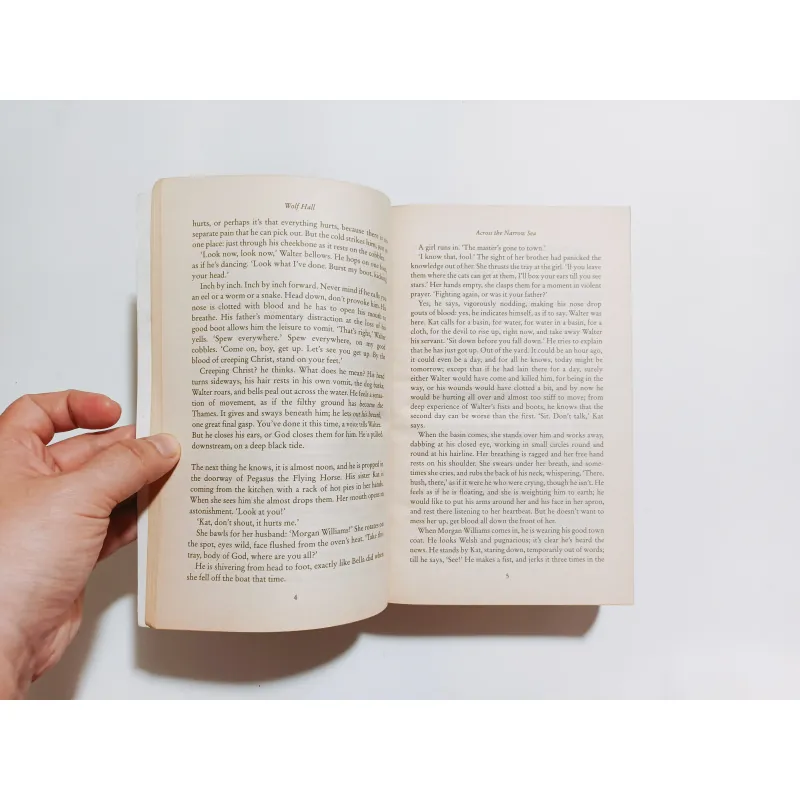 Wolf Hall - Hilary Mantel  752151