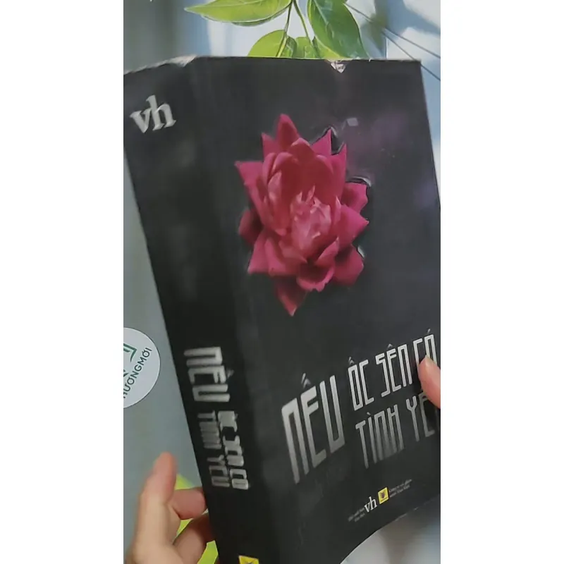 Nếu ốc sên có tình yêu - Đinh Mặc 688711