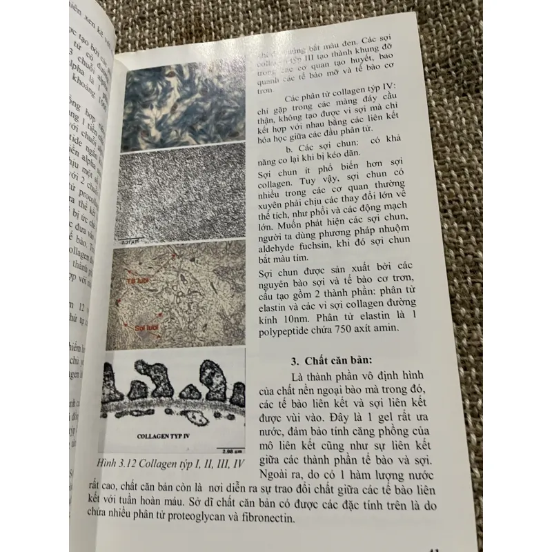 Mô học - PGS.TS.BS. PHAN CHIẾN THẮNG ; PGS.TS.BS. TRẦN CÔNG TOẠI; 240 trang khổ lớn  1021338