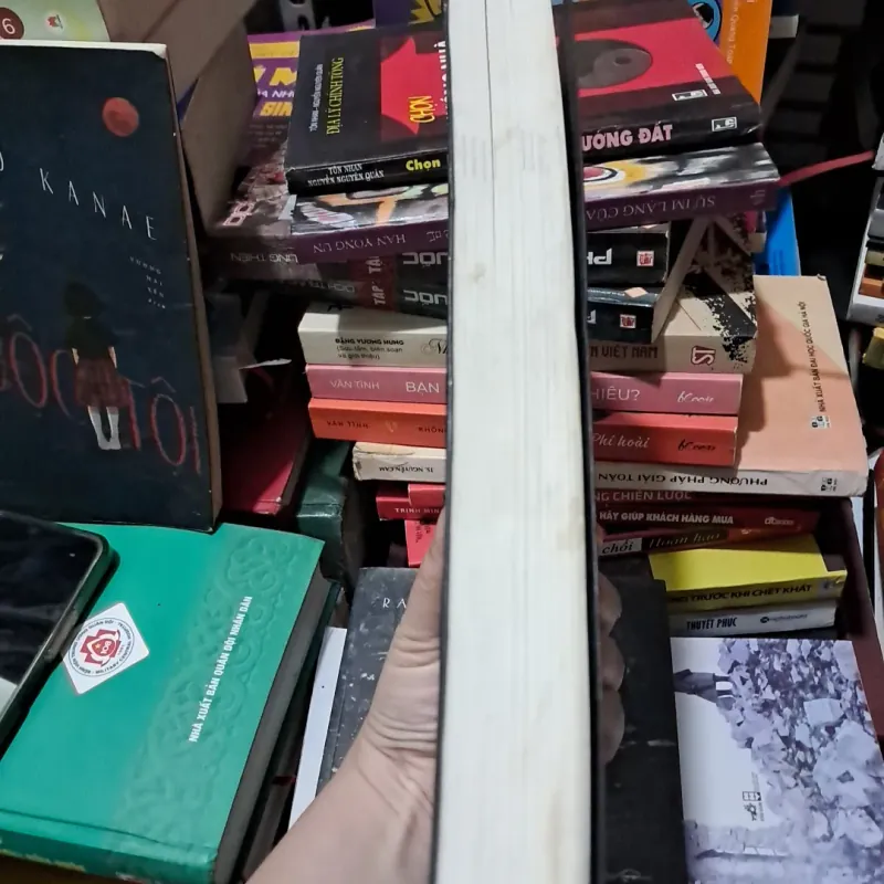 Kẻ dọn rác 1022204