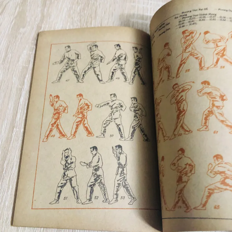 TÌM HIỂU VÕ THUẬT VIỆT VÕ ĐẠO 531169