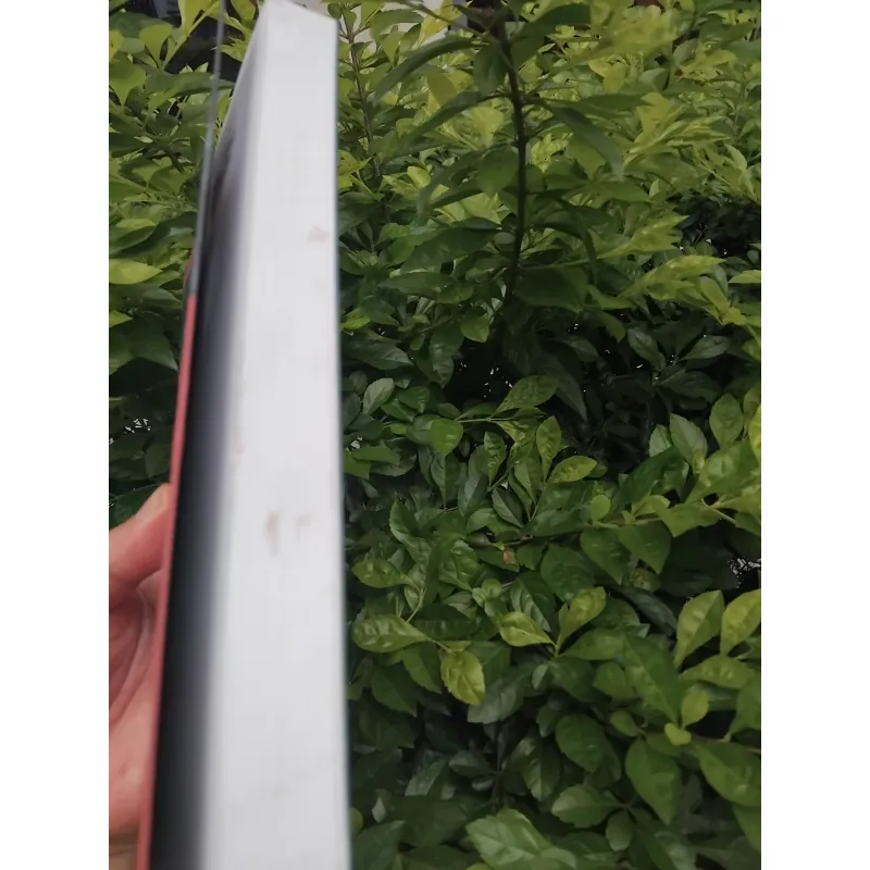 Mùa đông của Gunter tiểu thuyết của Juan Manuel Marcos  1001355