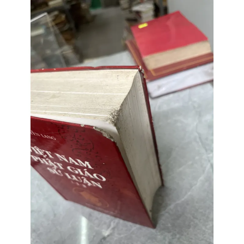 VIỆT NAM PHẬT GIÁO SỬ LUẬN ( BÌA CỨNG ) - NGUYỄN LANG 1030252