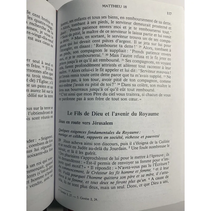 Tân Ước tiếng Pháp - Le Nouveau Testament 673783