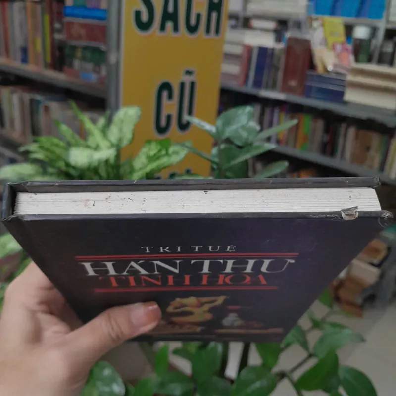 HÁN THƯ TINH HOA - TRÍ TUỆ 1039320