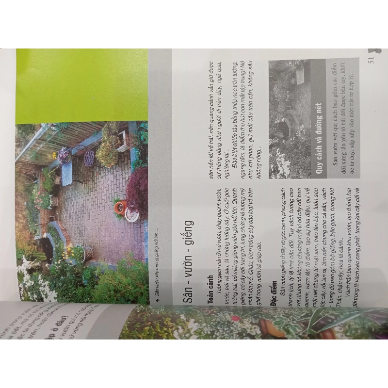 Nghệ thuật sân vườn hiện đại - Phạm Cao Hoàn biên soạn 536855