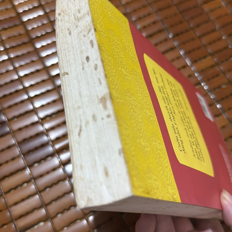 Những linh cảm bí ẩn - Amy Tan 534270