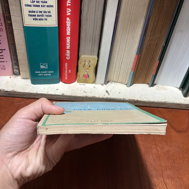 [Gáy Làm Lại] - II Văn Học: Tác Phẩm Chọn Lọc - HỒ DZẾNH - 1988 797155