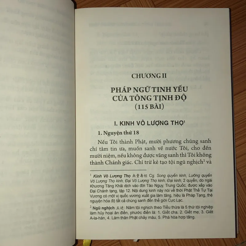 Giáo học Tịnh Độ Tông  604997