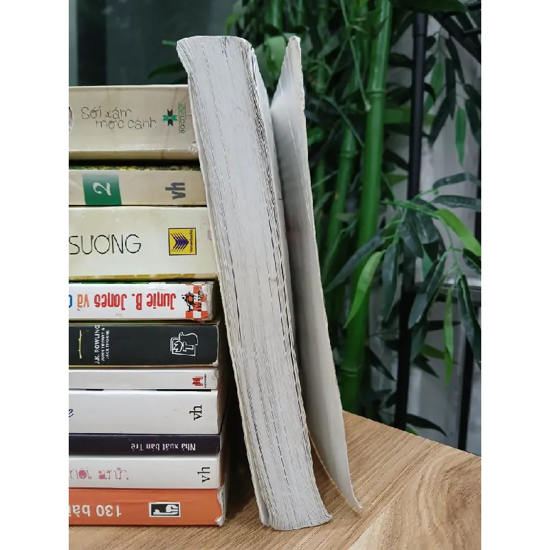 Đau thương đến chết (Phần hai: Luân hồi) – Quỷ Cổ Nữ 574091